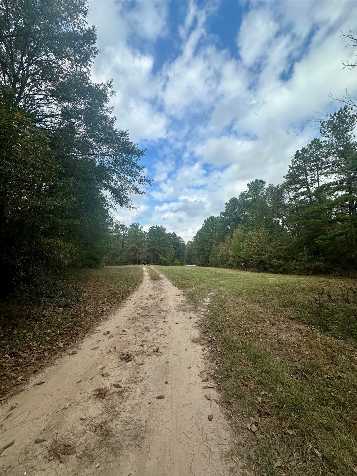 11140 FM 1484 Road Conroe, TX 77303 - Photo 6 of 43