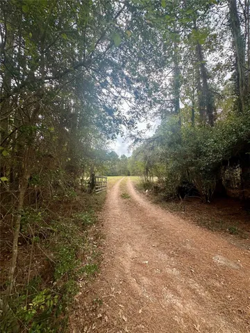 a view of a yard with a tree