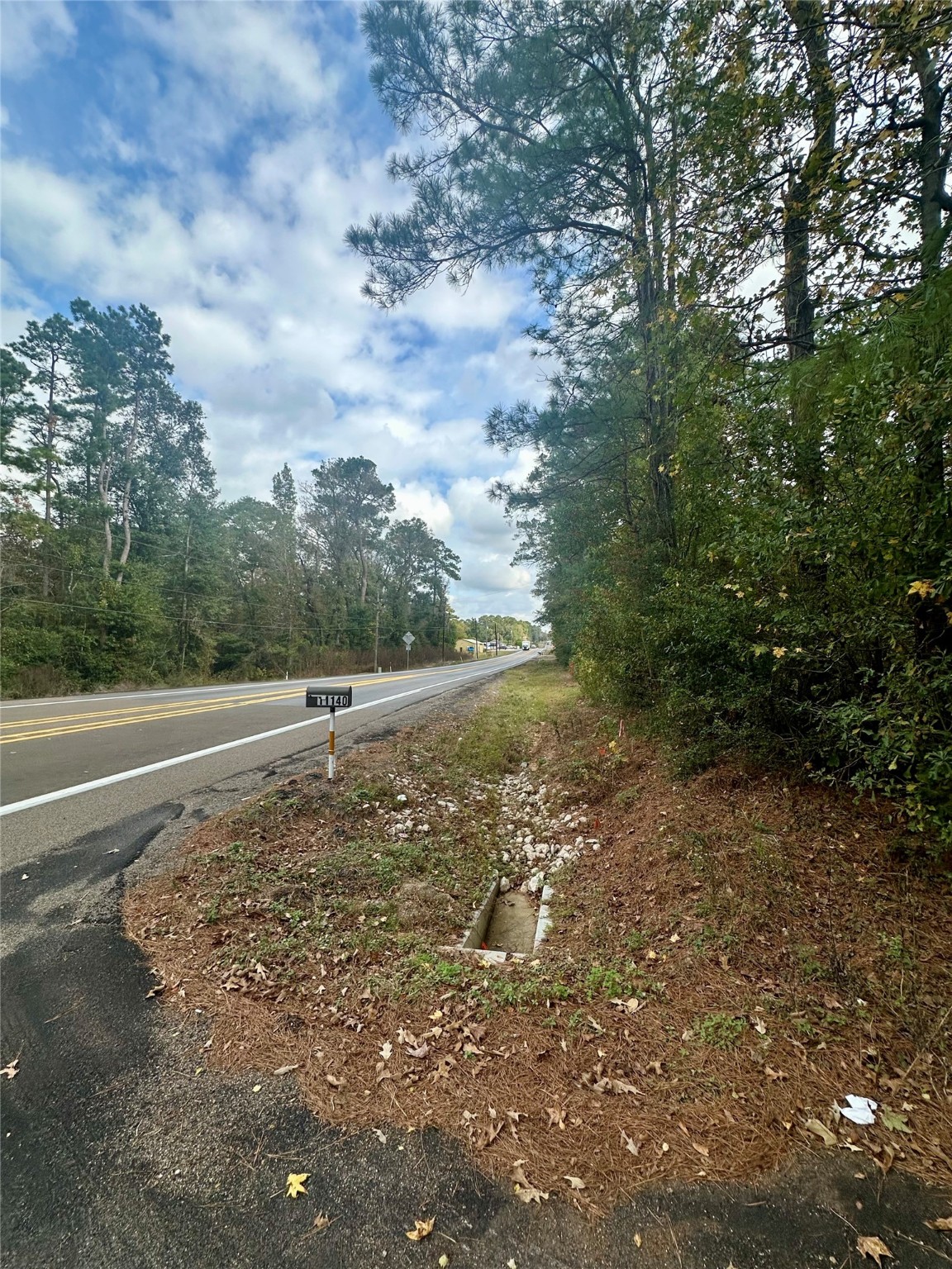 11140 FM 1484 Road Conroe, TX 77303 - Photo 8 of 43 a view of a dry yard with trees