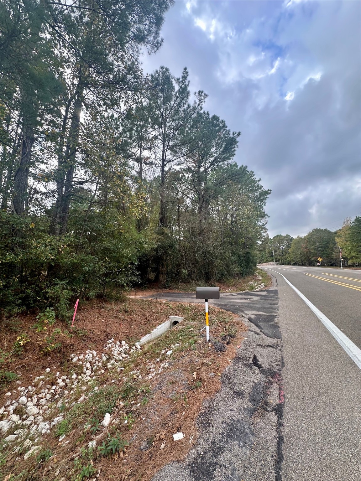 11140 FM 1484 Road Conroe, TX 77303 - Photo 9 of 43