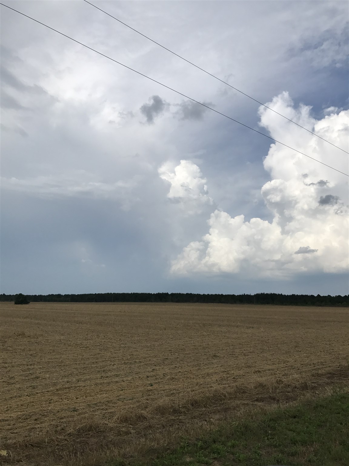Cc Road Elberta, AL 36530 - Photo 7 of 12