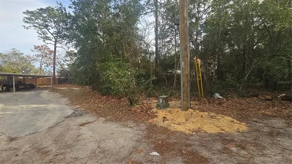a view of a yard with trees