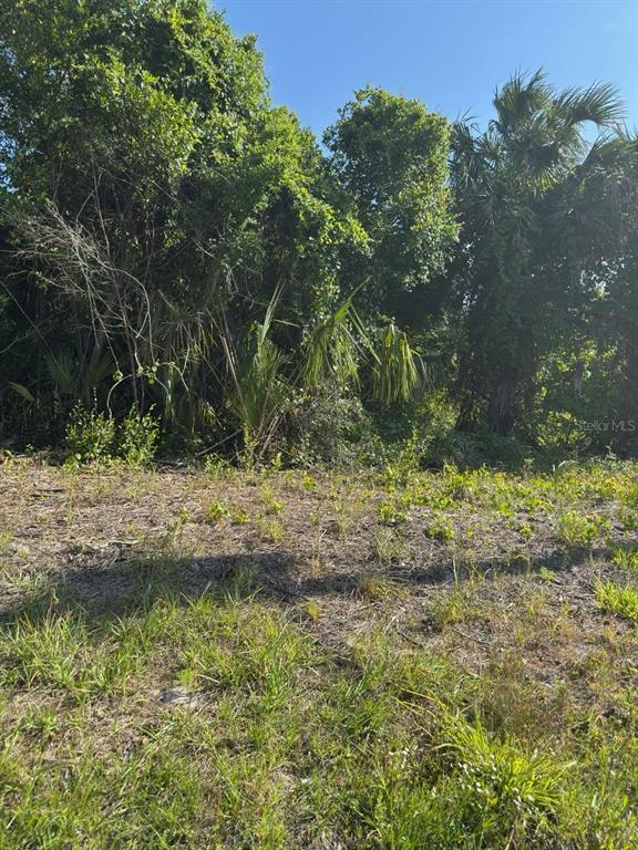 431 Birch Boulevard Georgetown, FL 32139 - Photo 1 of 1 a view of a yard with a tree