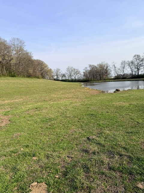 2200 Sugar Ridge Road Spring Hill, TN 37174 - Photo 5 of 9