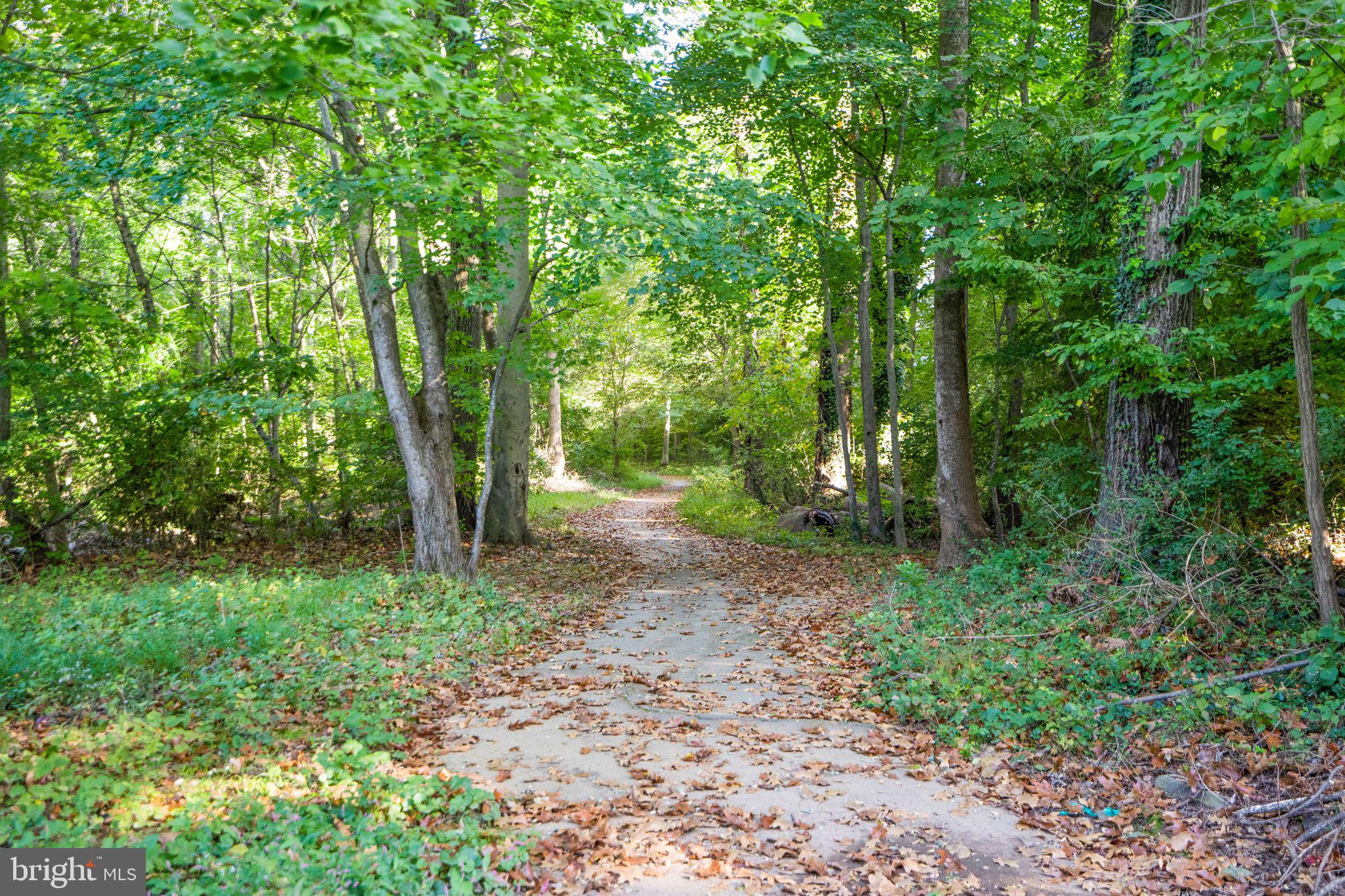 9324 Branchside Lane Fairfax, VA 22031 - Photo 54 of 73