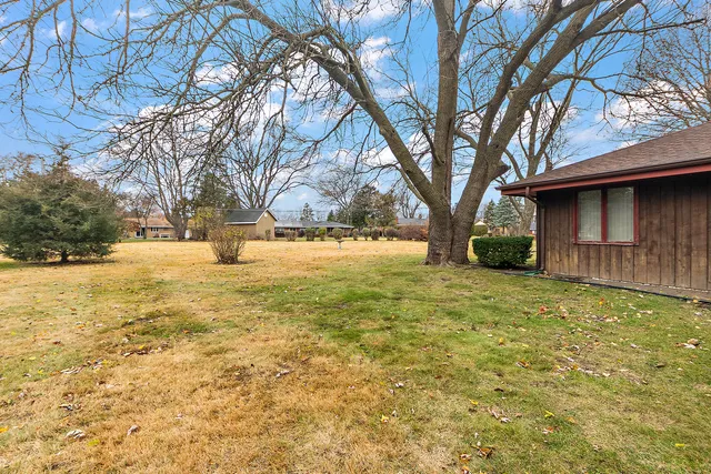 a view of back yard of the house with trees