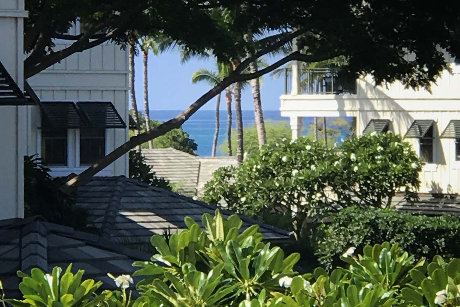 69-1000 Kolea Kai Circle, Unit 15L Waikoloa, HI 96738 - Photo 13 of 29 a front view of a house with a flower garden