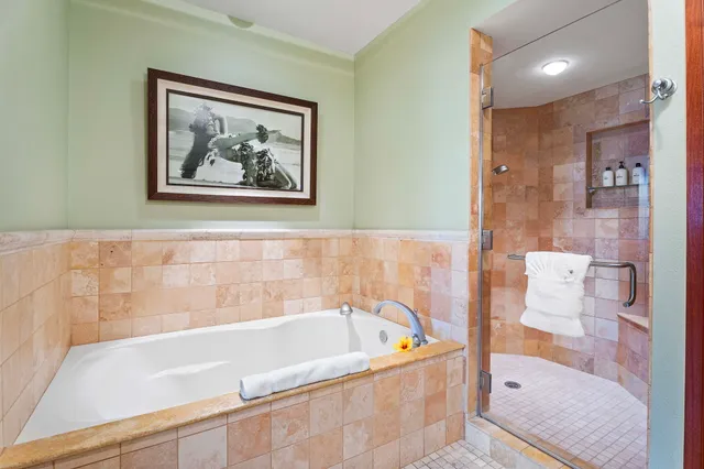 a bathroom with a bathtub and a shower