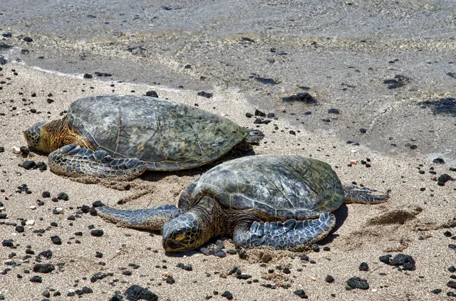 a view of painting on the wall