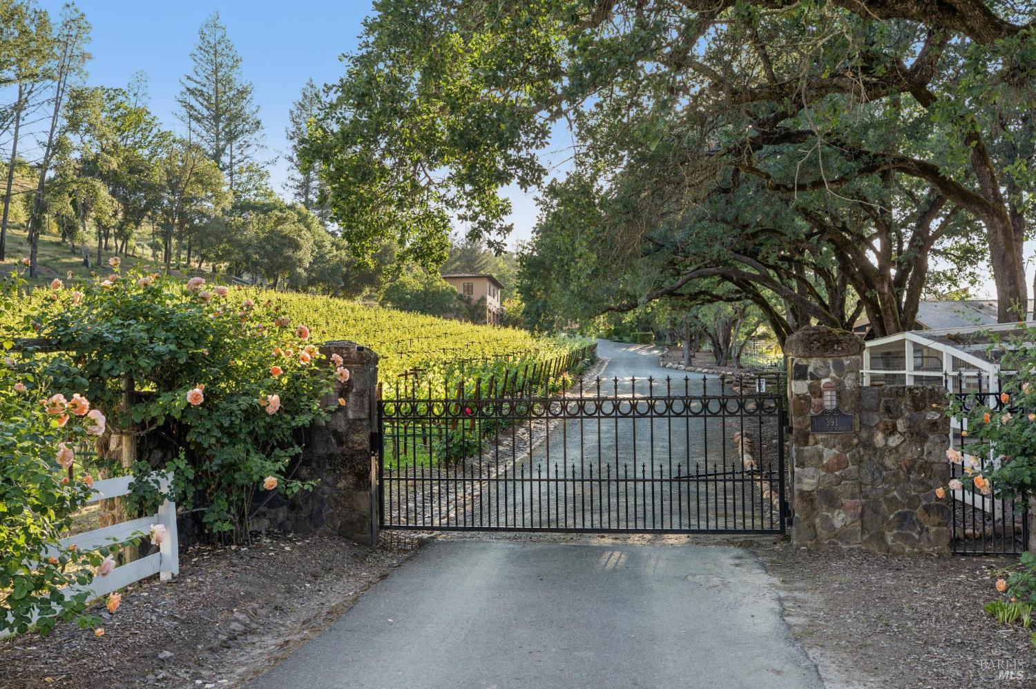 391 Crystal Springs Road St. Helena, CA 94574 - Photo 99 of 99