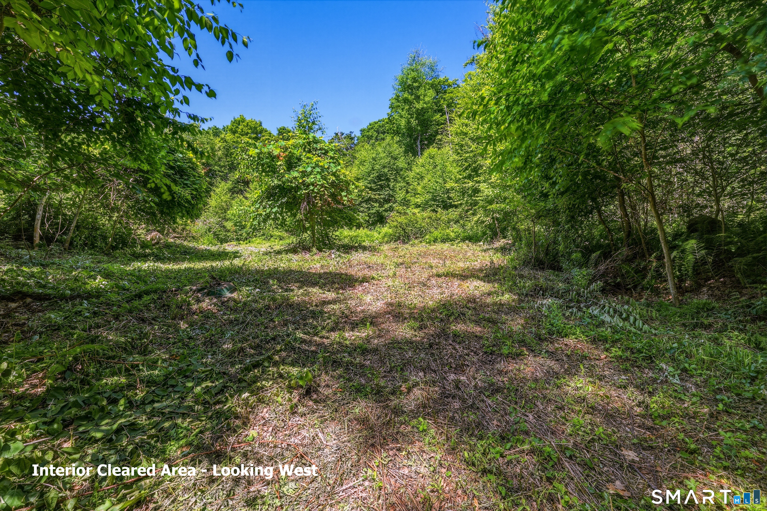 Ashley Road Winsted, CT 06098 - Photo 3 of 19