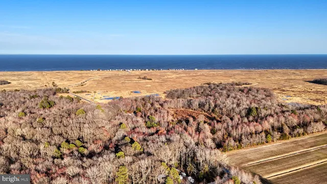 a view of an ocean beach