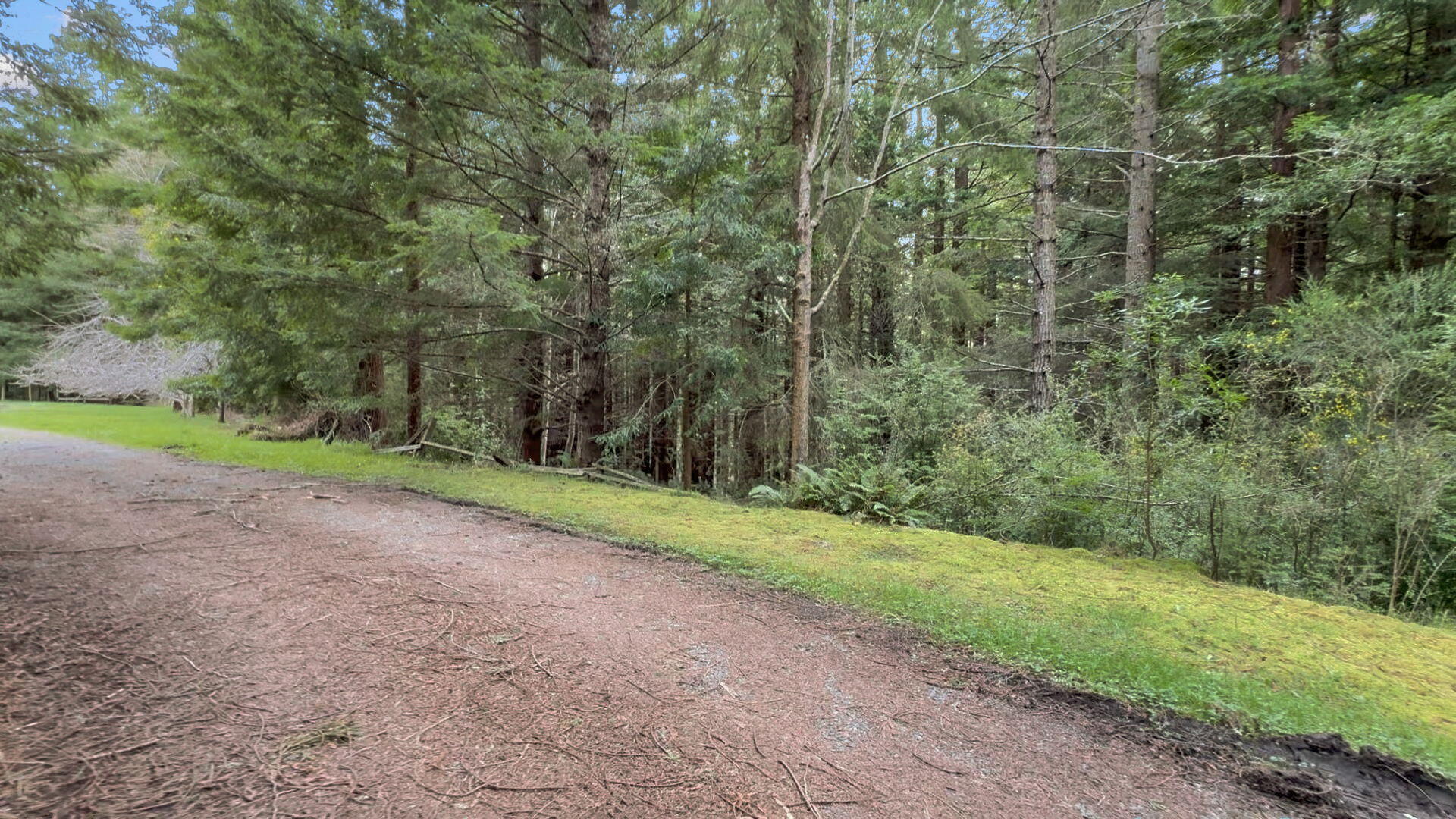 5430 Cummings Road Freshwater, CA 95503 - Photo 26 of 88 26-web-or-mls-CE60383B-717C-4857-92EF-A7