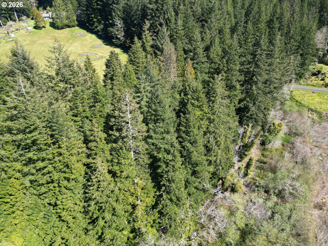 Siltcoos Station Road Westlake, OR 97493 - Photo 11 of 33