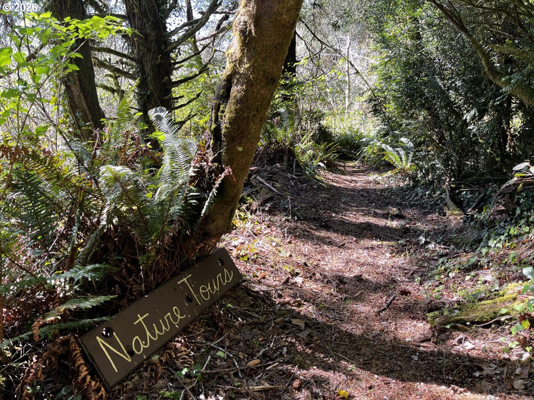 Siltcoos Station Road Westlake, OR 97493 - Photo 15 of 33