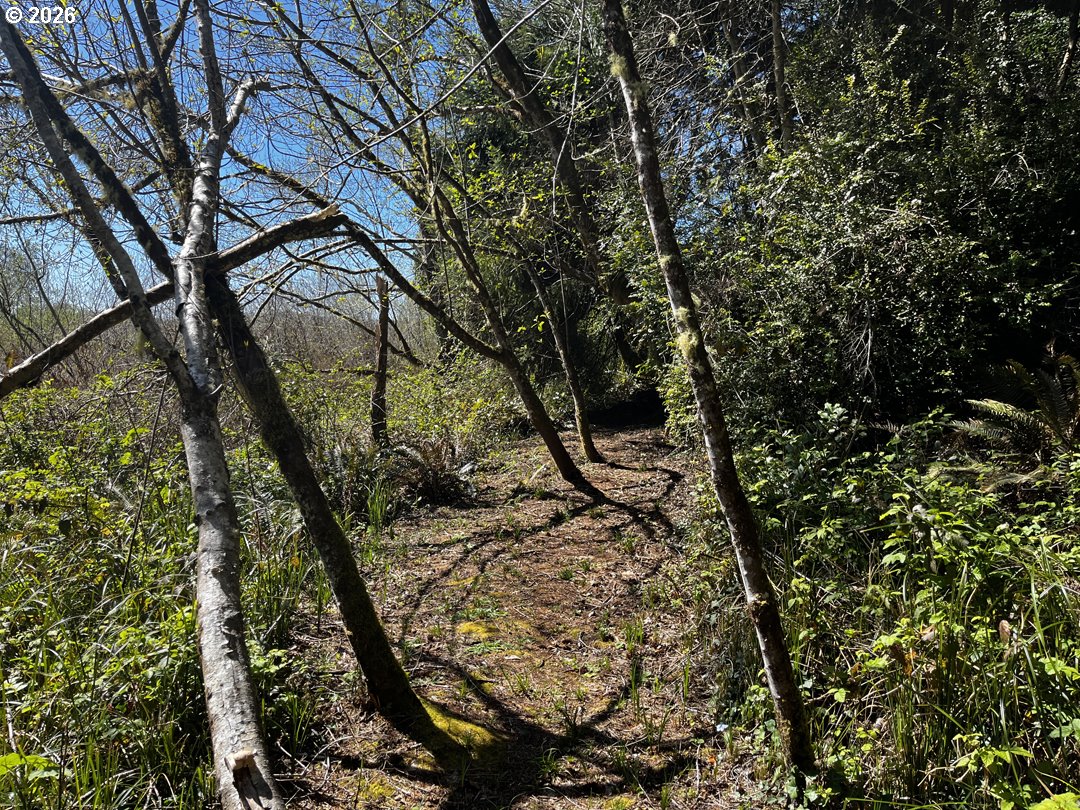 Siltcoos Station Road Westlake, OR 97493 - Photo 17 of 33
