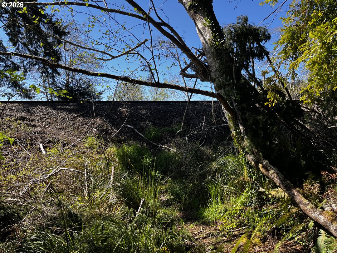 Siltcoos Station Road Westlake, OR 97493 - Photo 28 of 33