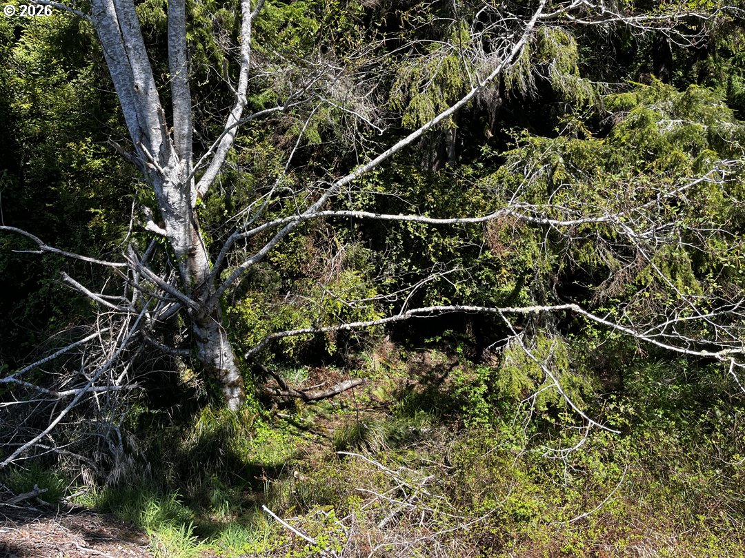 Siltcoos Station Road Westlake, OR 97493 - Photo 30 of 33