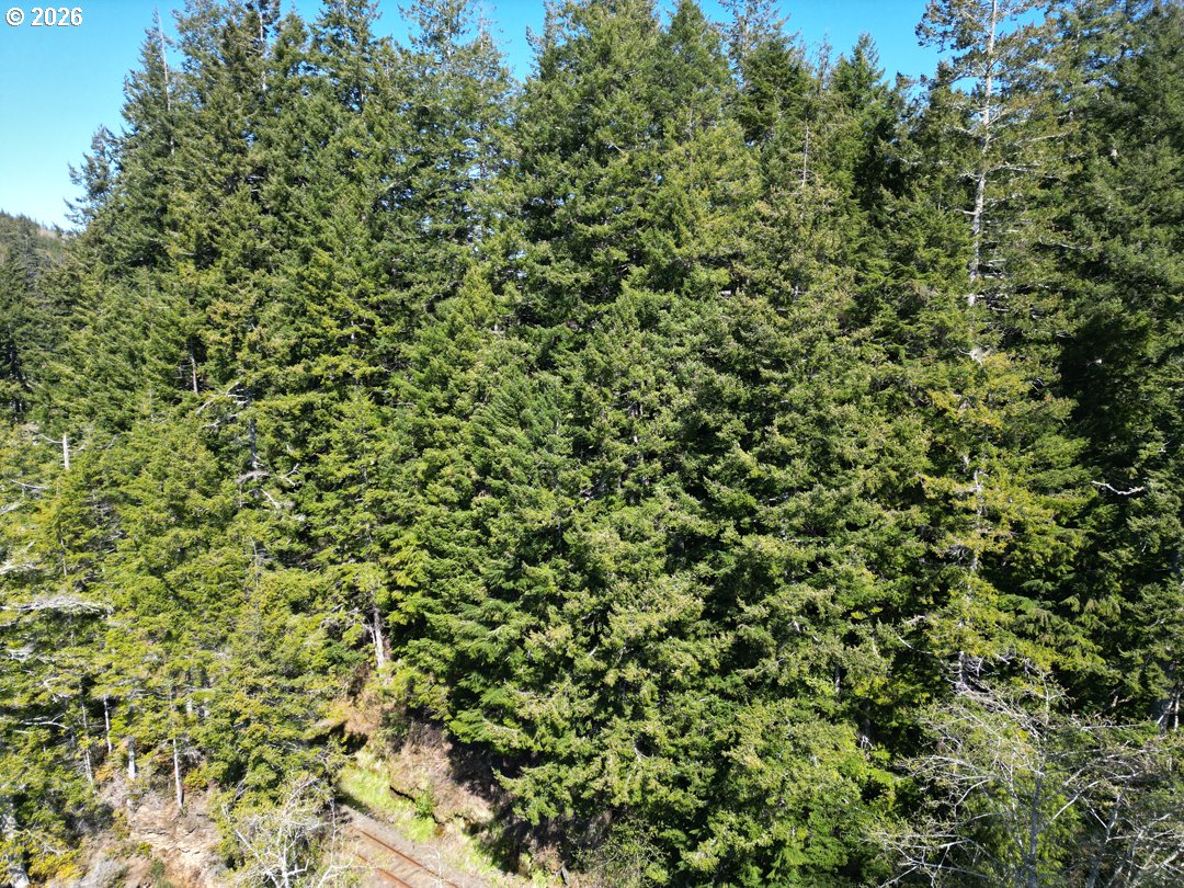 Siltcoos Station Road Westlake, OR 97493 - Photo 5 of 33