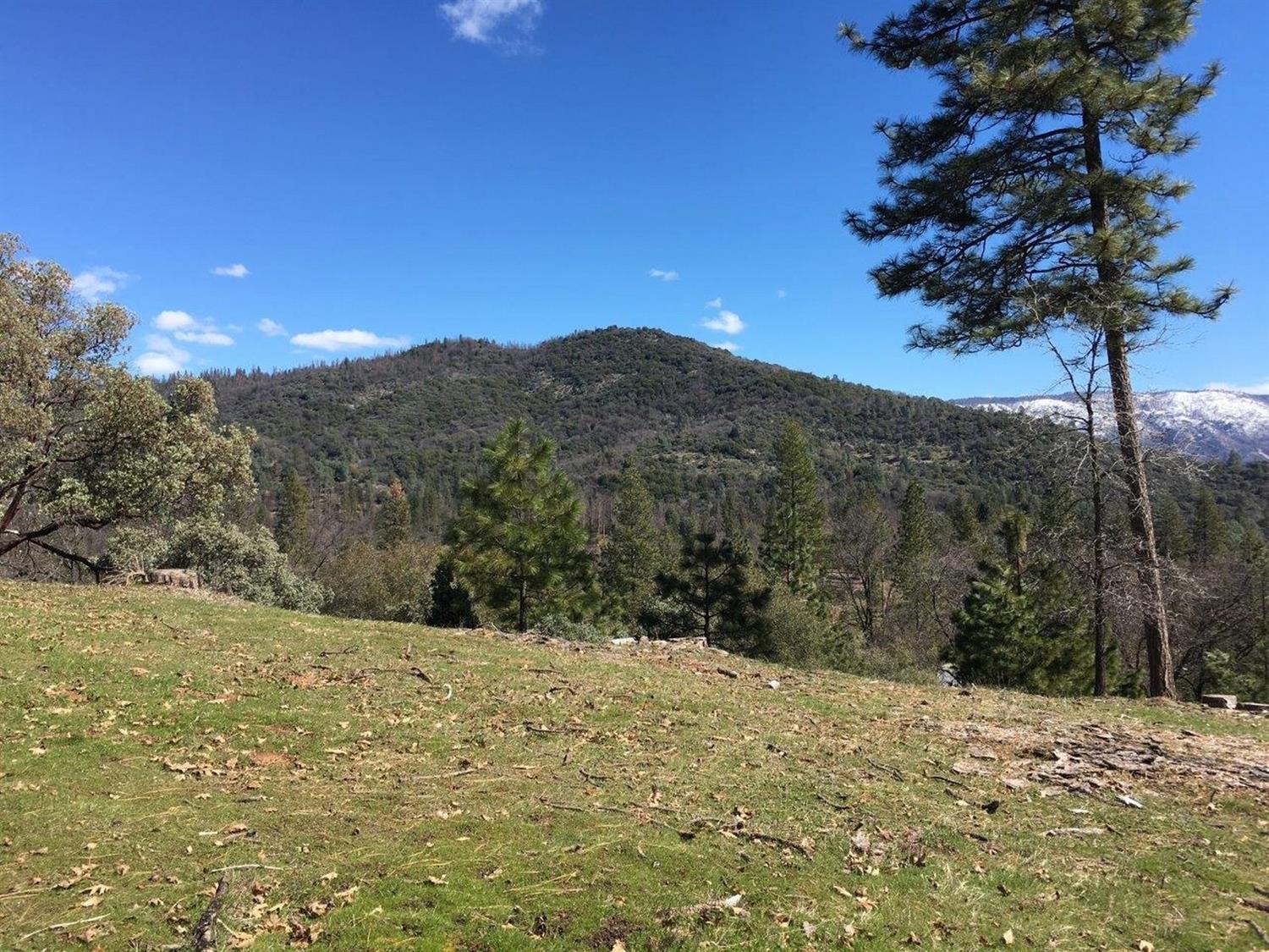 34980 Wintergreen Loop North Fork, CA 93643 - Photo 44 of 64