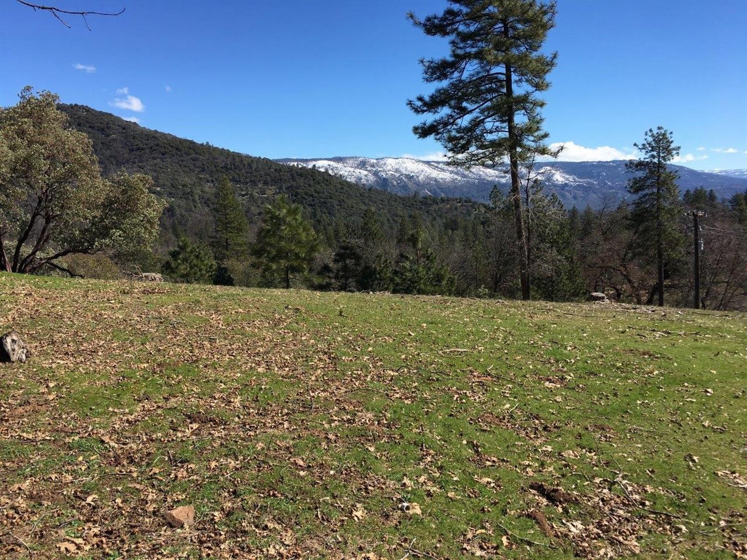 34980 Wintergreen Loop North Fork, CA 93643 - Photo 45 of 64