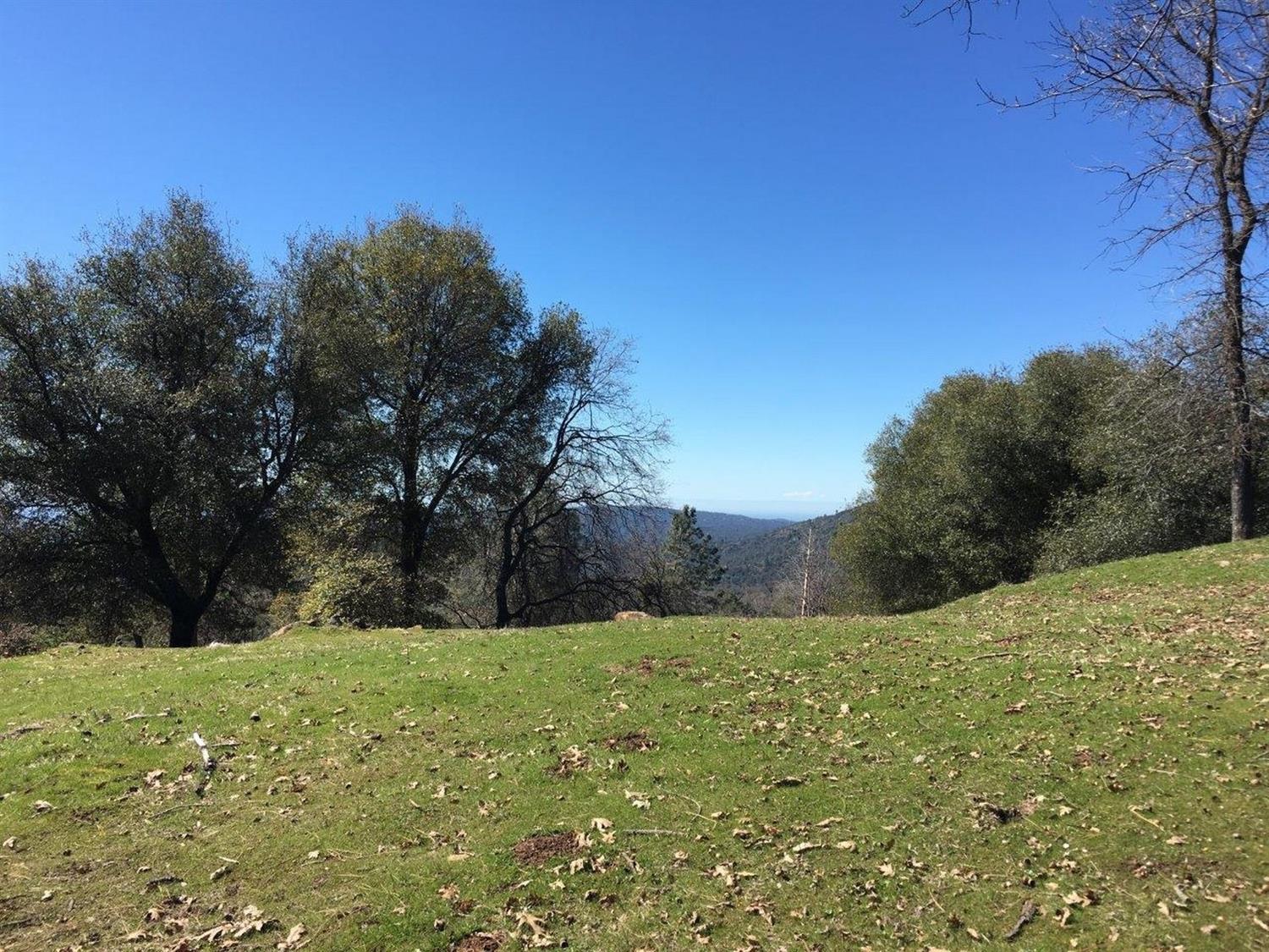 34980 Wintergreen Loop North Fork, CA 93643 - Photo 47 of 64