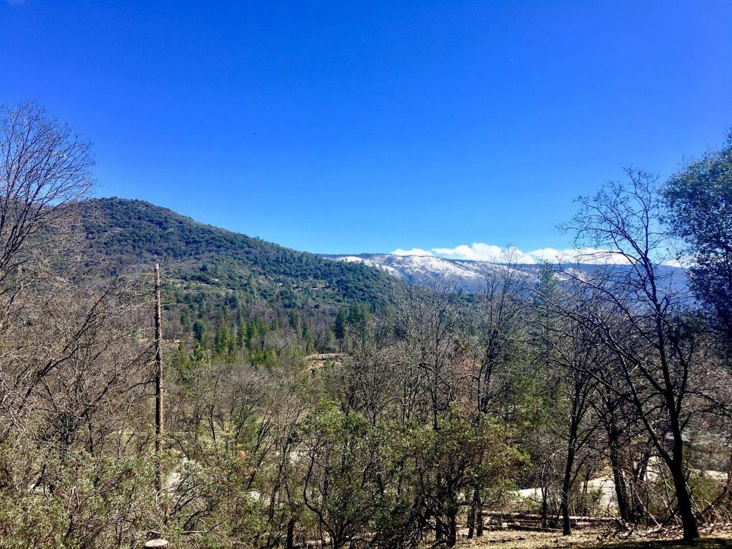 34980 Wintergreen Loop North Fork, CA 93643 - Photo 48 of 64