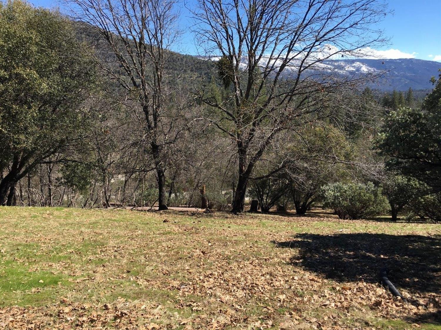 34980 Wintergreen Loop North Fork, CA 93643 - Photo 49 of 64