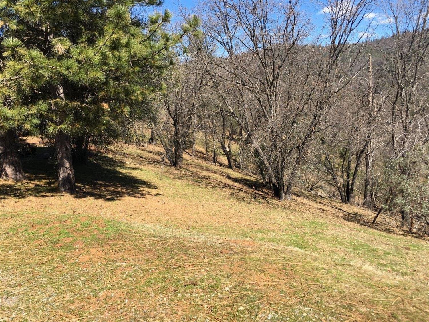 34980 Wintergreen Loop North Fork, CA 93643 - Photo 52 of 64