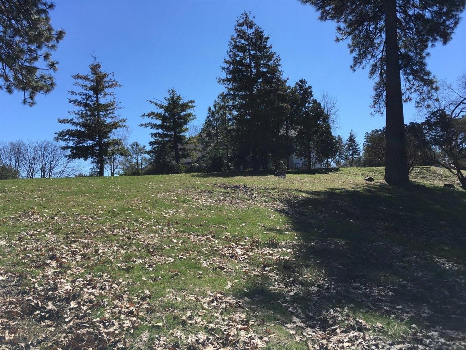 34980 Wintergreen Loop North Fork, CA 93643 - Photo 53 of 64