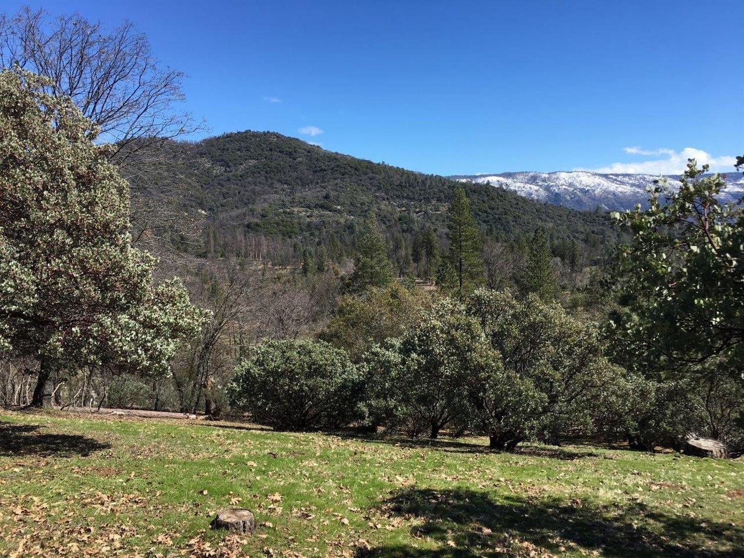 34980 Wintergreen Loop North Fork, CA 93643 - Photo 55 of 64