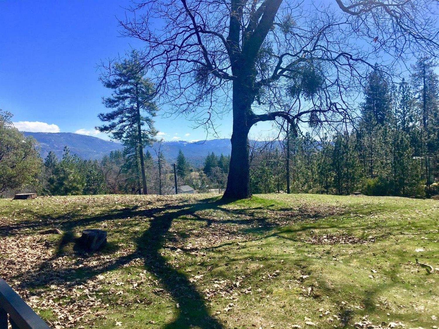 34980 Wintergreen Loop North Fork, CA 93643 - Photo 59 of 64