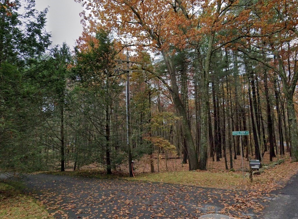 0 Maple Street Stow, MA 01775 - Photo 4 of 6