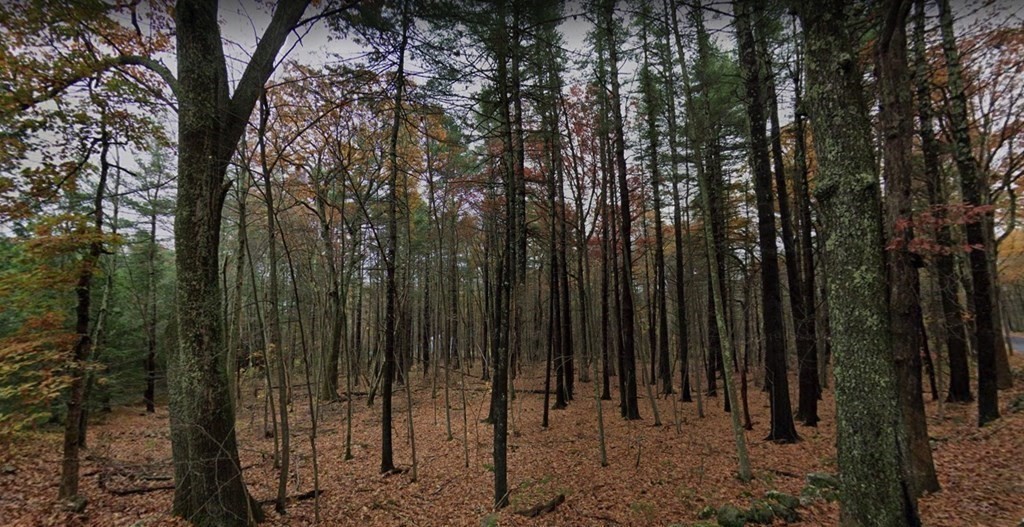 0 Maple Street Stow, MA 01775 - Photo 5 of 6