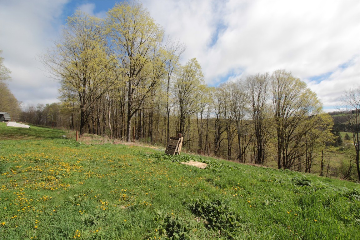 200 Mertz Road Bainbridge, NY 13733 - Photo 38 of 50 Gallery Image 38
