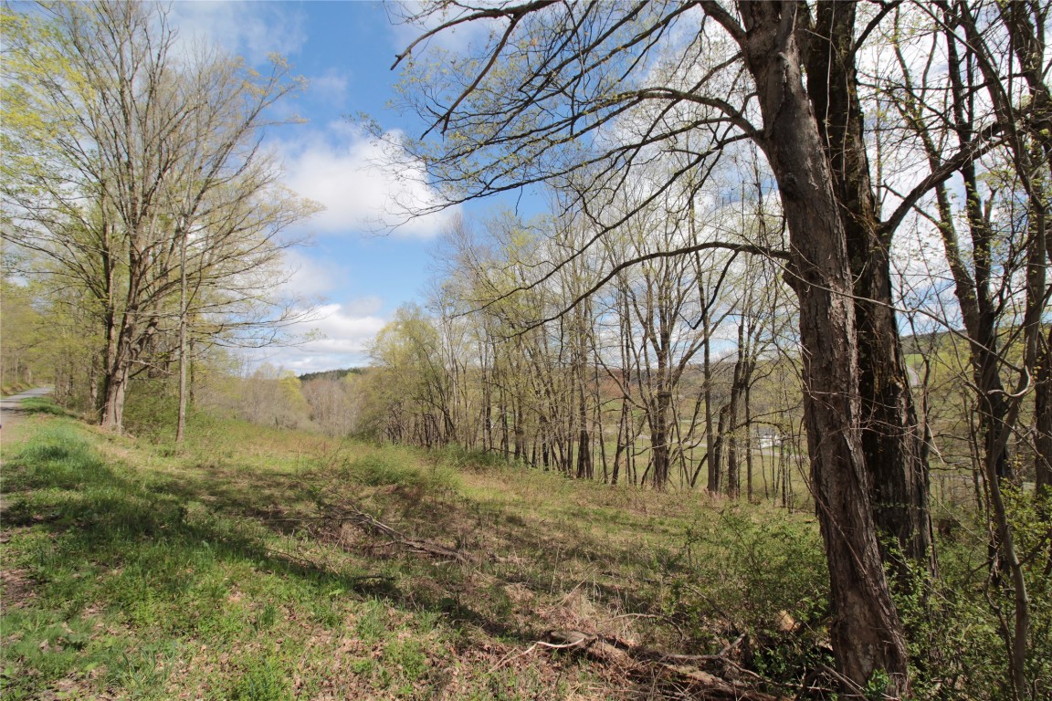 200 Mertz Road Bainbridge, NY 13733 - Photo 44 of 50 Gallery Image 44