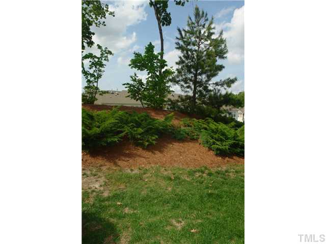 5324 Silver Moon Lane Raleigh, NC 27606 - Photo 17 of 18 Gallery Image 17