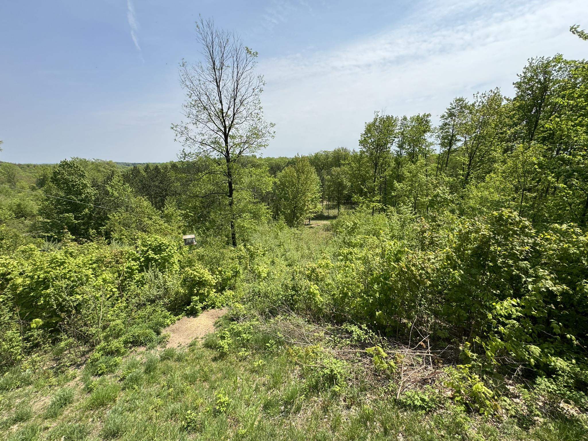 12499 23 Mile Road Tustin, MI 49688 - Photo 65 of 76 1922802-ac7e5892-f54d-410f-91cf-a913d1354c87.JPG