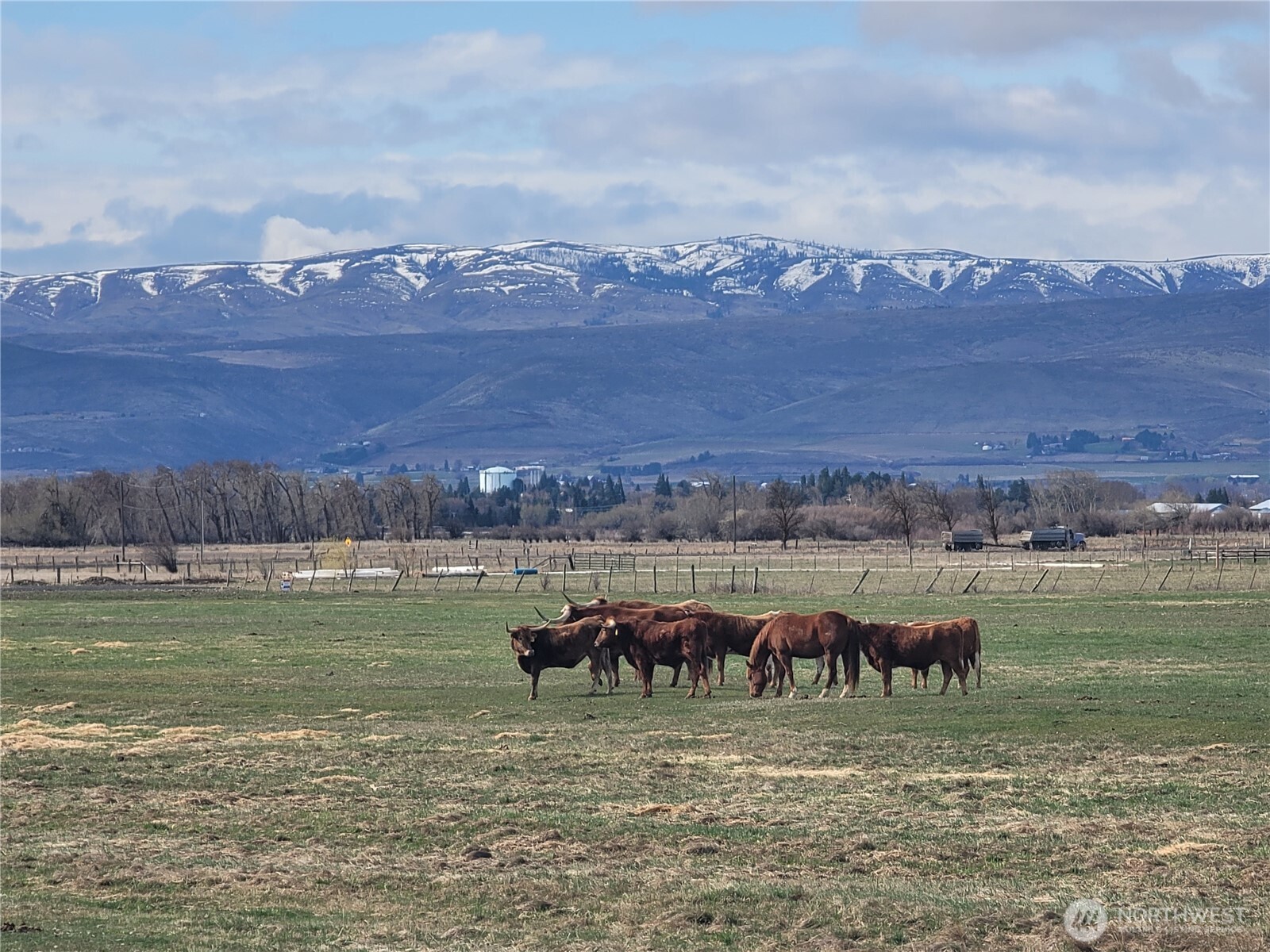 2149-x3 Brick Mill Road Ellensburg, WA 98926 - Photo 3 of 13 Gallery Image 3