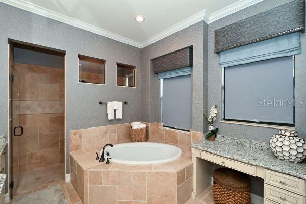 5507 Arnie Loop Lakewood Ranch, FL 34211 - Photo 33 of 68 a bathroom with a granite countertop tub sink and mirror