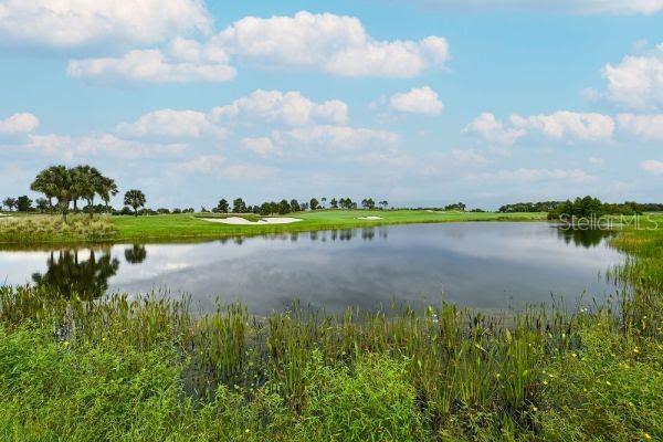 5507 Arnie Loop Lakewood Ranch, FL 34211 - Photo 45 of 68 a view of a lake with a big yard and large trees