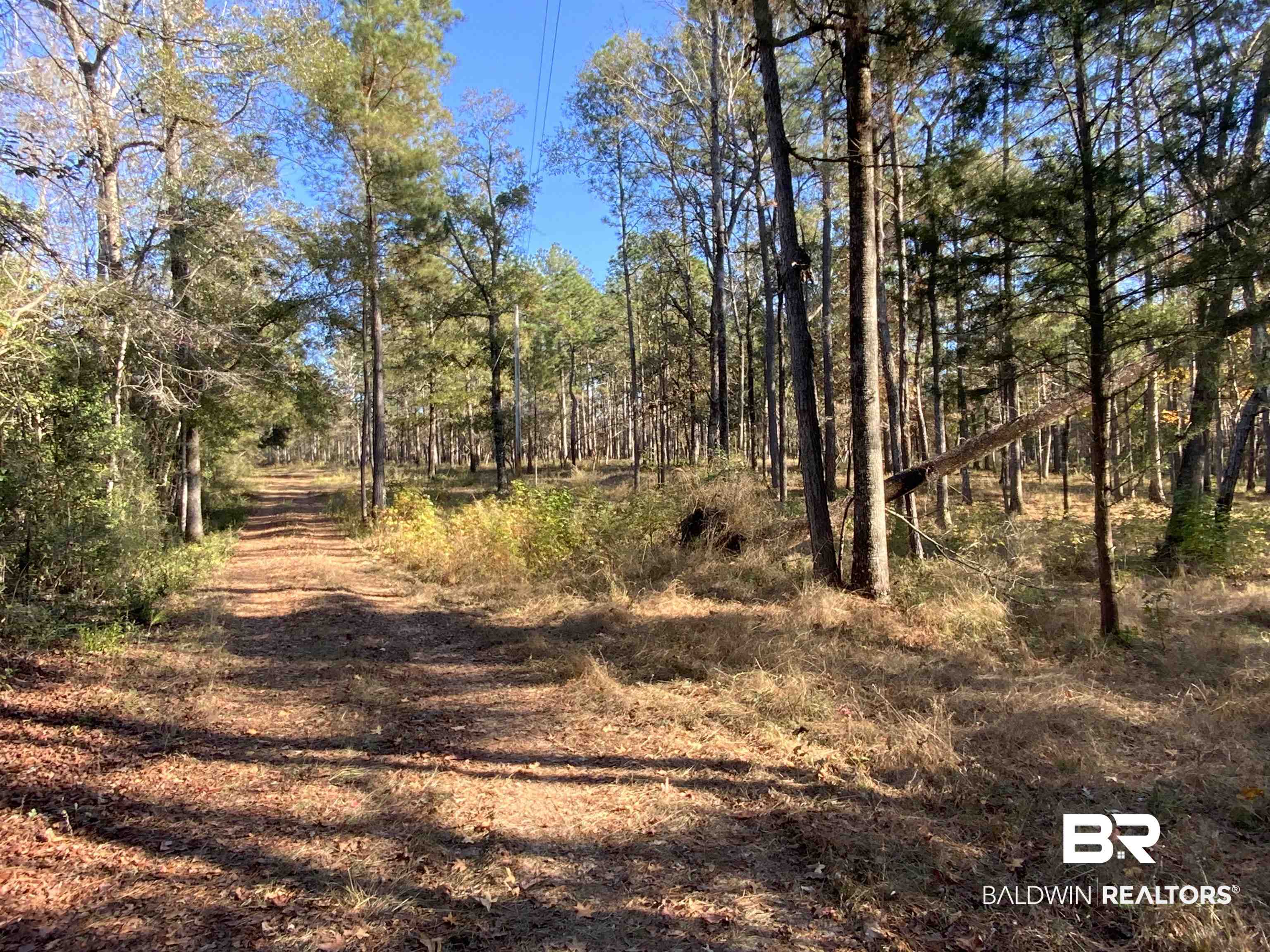 10 Drinkard Road Bay Minette, AL 36507 - Photo 3 of 16 View of wooded area