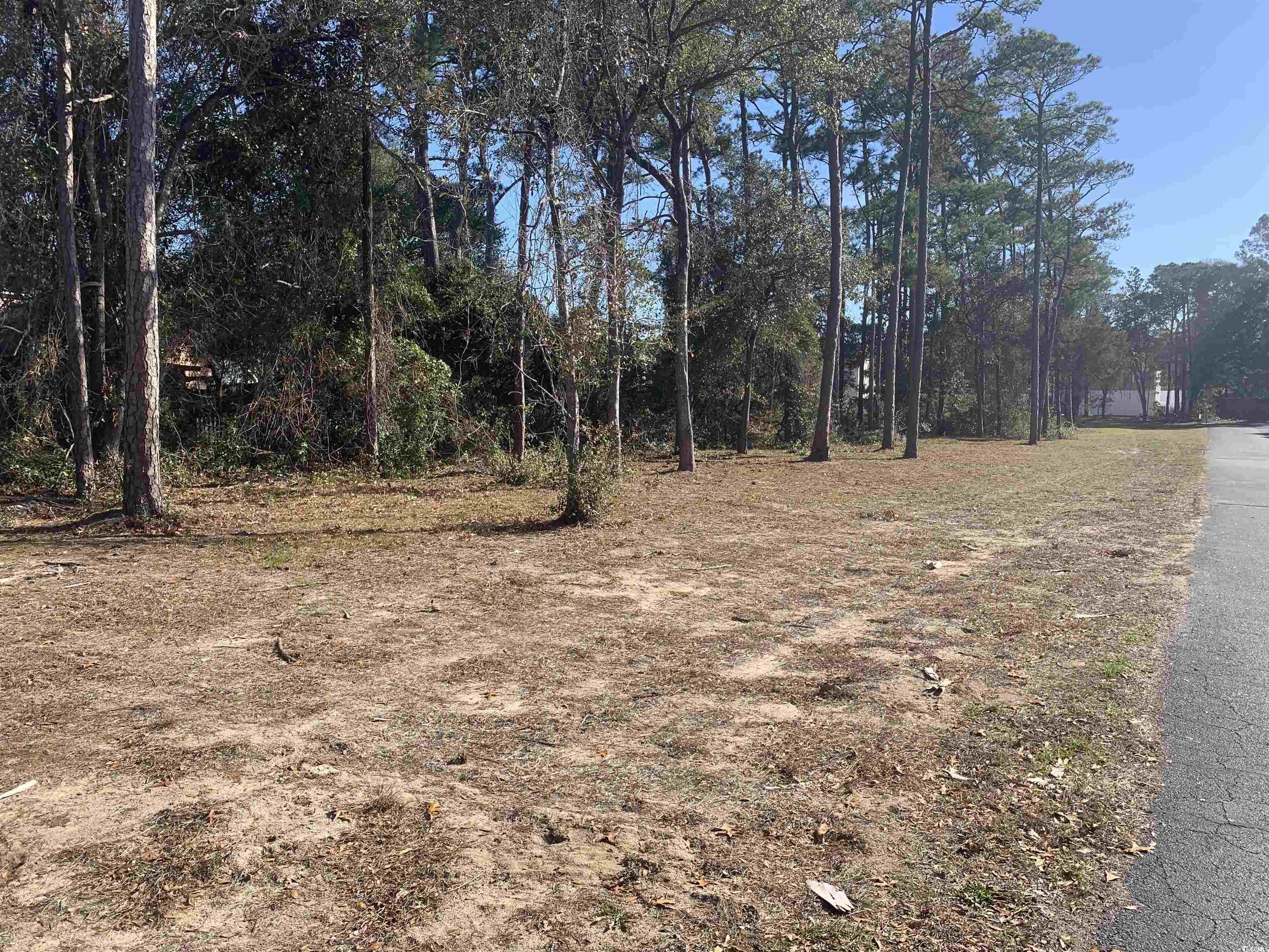 Tbd Edge Drive North Myrtle Beach, SC 29582 - Photo 2 of 4