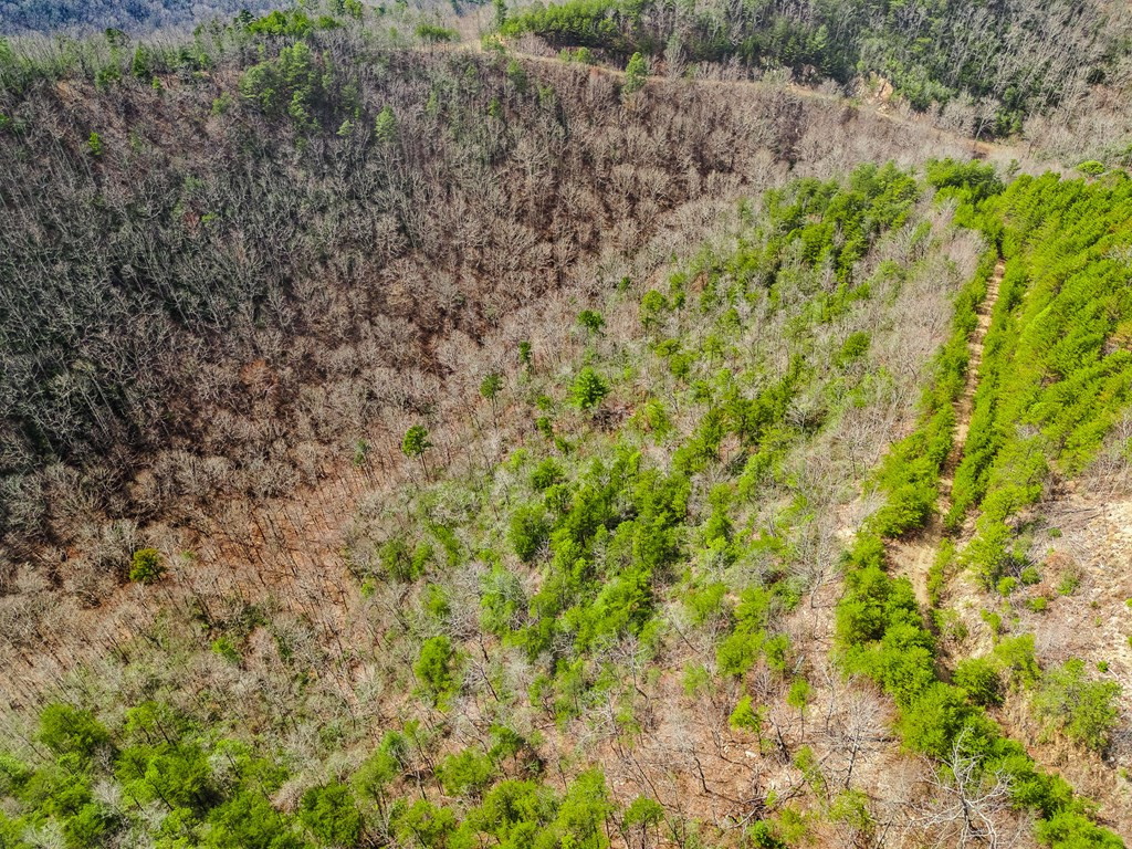 13-acres American Eagle Road Murphy, NC 28906 - Photo 2 of 17