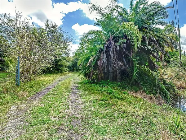 a view of backyard with green space