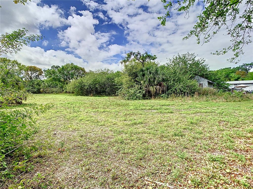 1518 27th Street Southeast Ruskin, FL 33570 - Photo 7 of 12 a backyard of a house with lots of green space