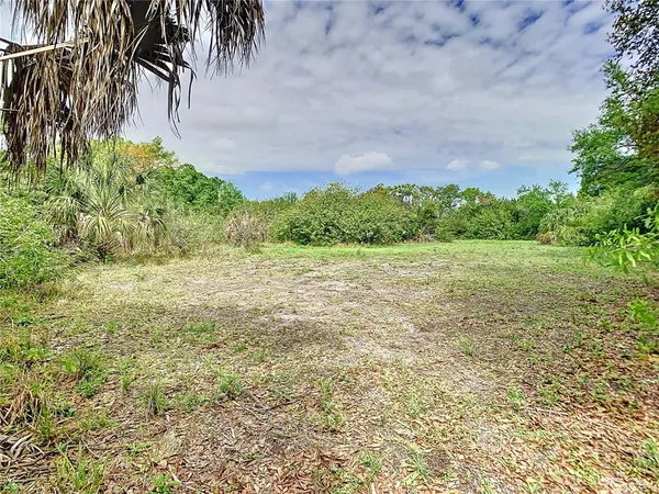 a view of a green field with trees in the background