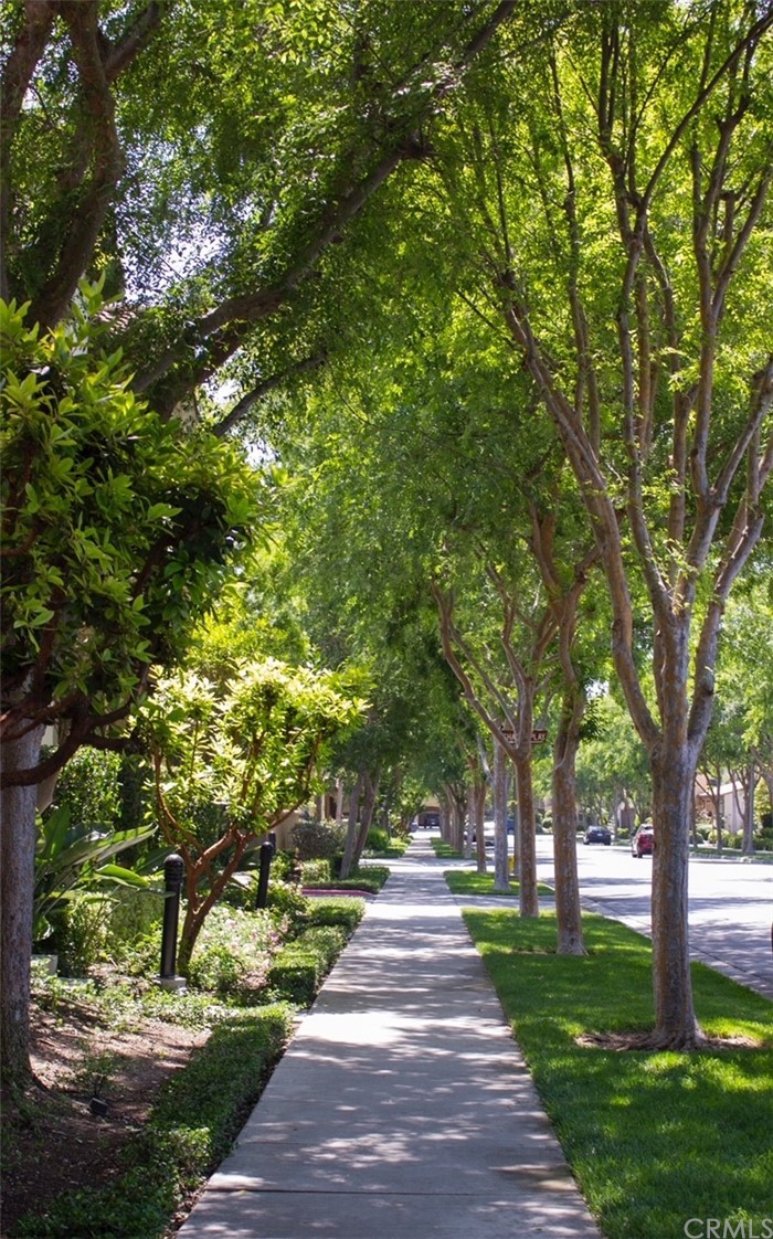52 Shadowplay Irvine, CA 92620 - Photo 18 of 18 a park view with large trees