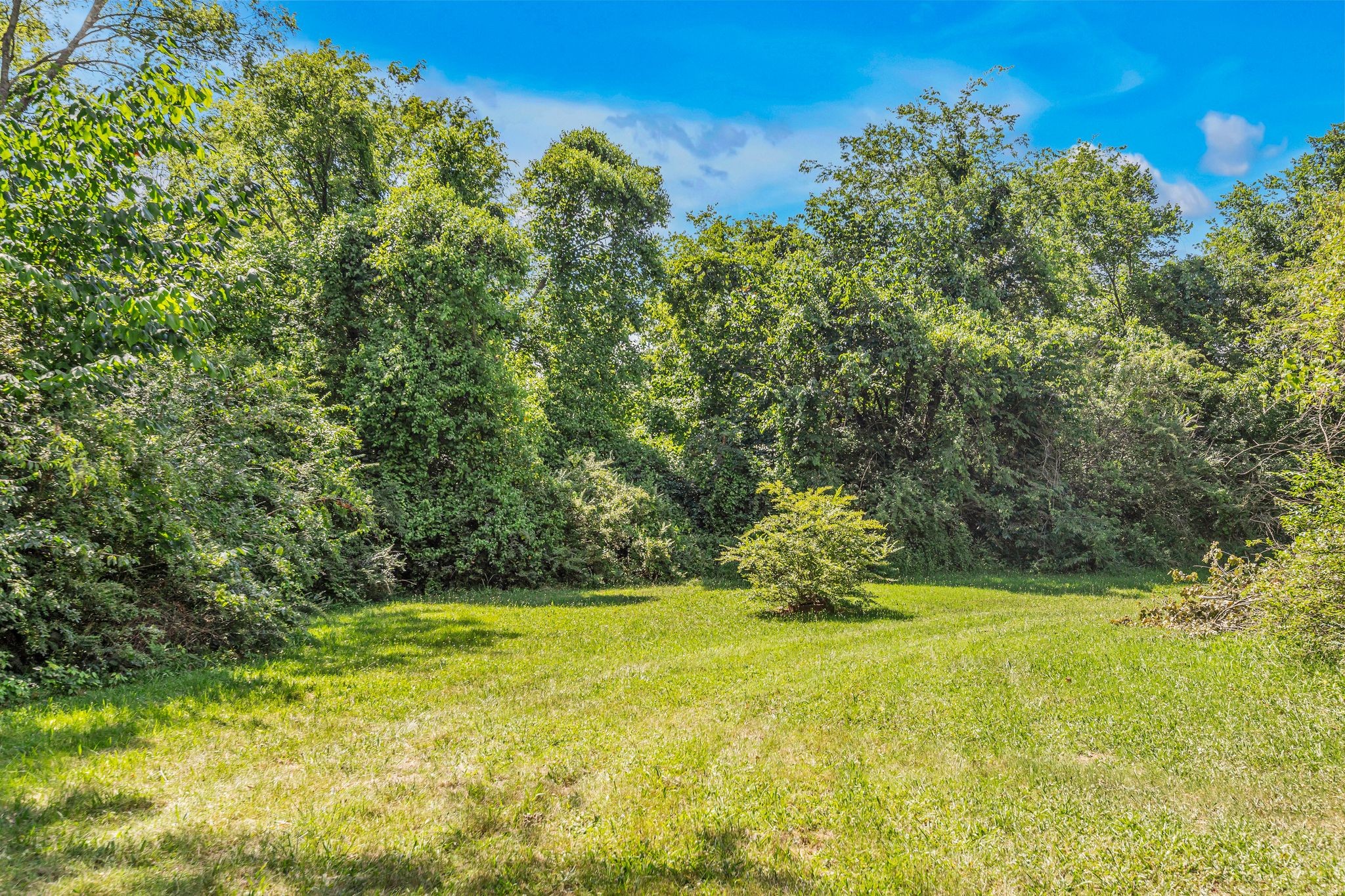 160 Mason Road La Vergne, TN 37086 - Photo 7 of 24 Gallery Image 7