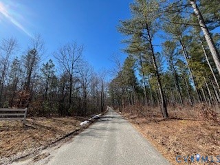 0 Ancient Acres Road Beaverdam, VA 23015 - Photo 7 of 15 a view of a yard with trees